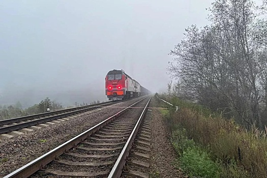 Место взрыва на ж/д путях у станции Плюсса в Псковской области сняли на фото