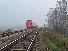 Место взрыва на ж/д путях у станции Плюсса в Псковской области сняли на фото
