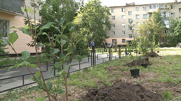 В Истре высаживают сирень