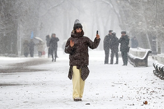 Вильфанд: В России снегом покрыто почти 90% территории