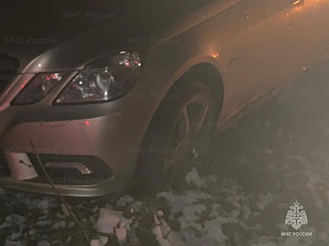 Легковушка оказалась в кювете после встречи с лосем