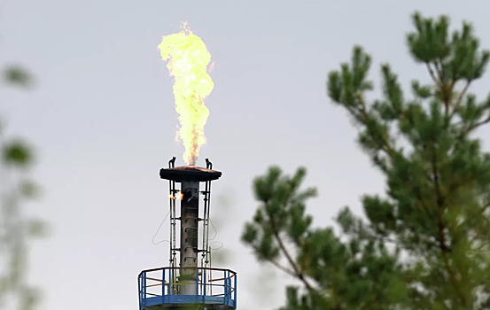 Стало известно о реакции России на прокачку казахстанской нефти в ФРГ