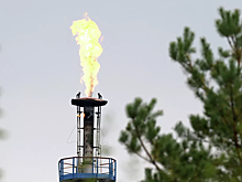 Стало известно о реакции России на прокачку казахстанской нефти в ФРГ