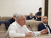 Депутаты отчитали главного эколога Екатеринбурга за борщевик и отрубленные головы