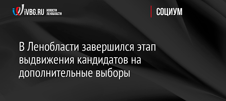 В Ленобласти завершился этап выдвижения кандидатов на дополнительные выборы