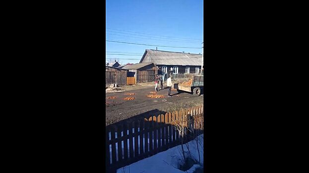 Народ одобрил ремонт костромских дорог разбитыми кирпичами