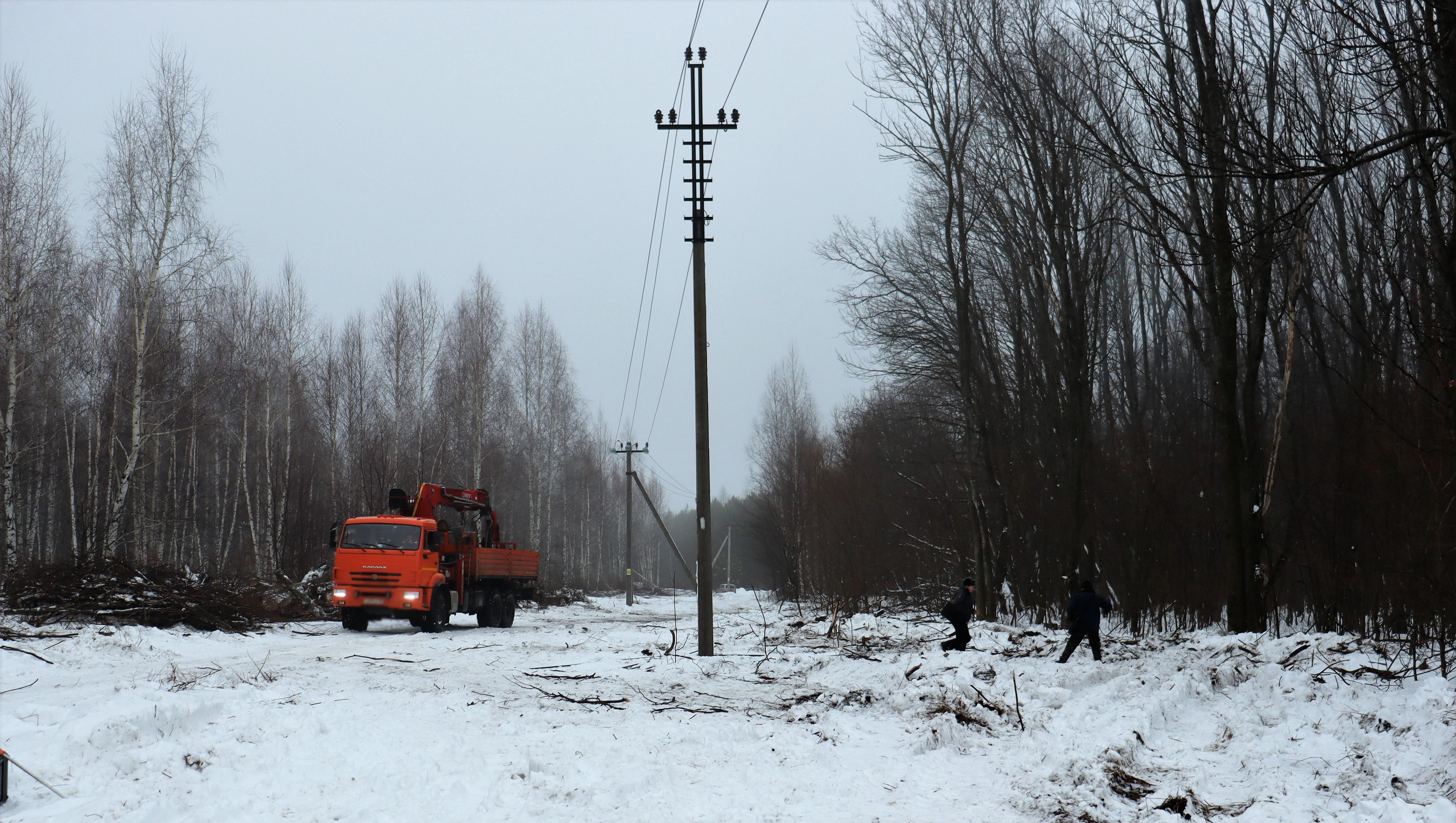 Незаконную рубку деревьев на 1 млн рублей для установки ЛЭП раскрыла полиция в Пензенской области