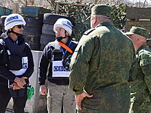 Полпред ДНР призвала ОБСЕ посетить удерживаемых Киевом жителей республики