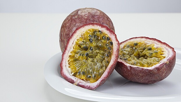 Найден новый источник веществ, способных бороться с раком