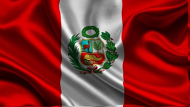 Новый президент Перу принял зарубежных гостей перед вступлением в должность