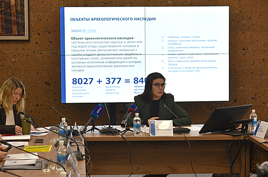 Светлана Мананкина: Нужно найти баланс между экономическим развитием и сохранением исторического наследия