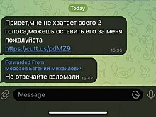 Неизвестные взломали Telegram-аккаунты калининградcких политиков и бизнесменов