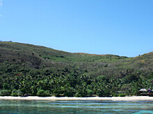 Численность галапагосских пингвинов и бакланов рекордно выросла