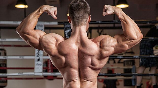Как проработать мышцы спины