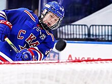 «Это был чистый силовой прием». Емелин заявил, что не бил в колено Мичкова