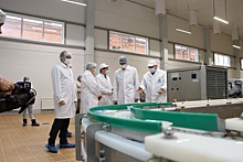 Производство по выпуску творога за 1,2 млрд рублей введено в строй в Княгинине