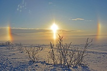 «Ледяная радуга»: жители Московского региона поделились снимками солнечного гало