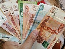 Доходы самозанятых матерей предложили не учитывать при назначении пособий