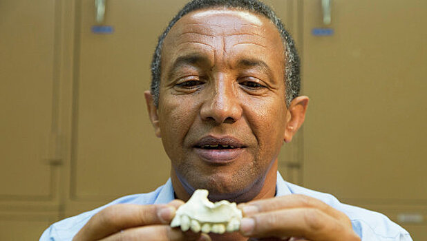 Палеонтологи нашли в Эфиопии "соседку" знаменитой "Люси"
