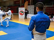 Сколько в Татарстане лжемастеров спорта?