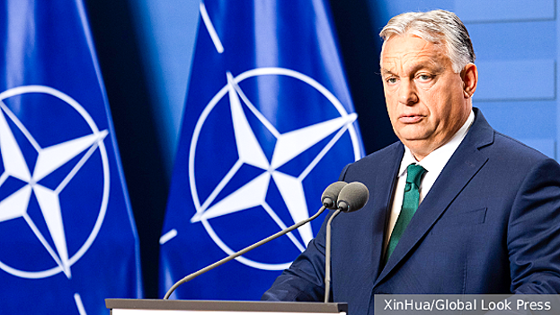 Действия Украины в Венгрии загнали НАТО в тупик