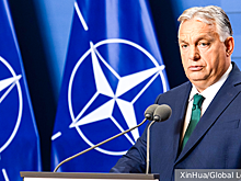 Действия Украины в Венгрии загнали НАТО в тупик