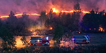 Они победили огонь: репортаж из эпицентра лесных пожаров в России