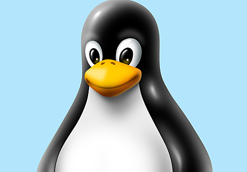 Найден метод взлома большинства устройств на Linux