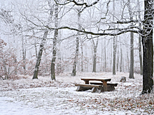 Жители Ижевска смогут поучаствовать в разработке нового сквера в Ленинском районе