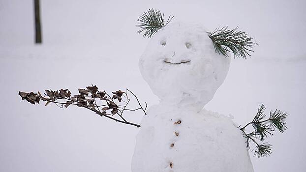 Синоптик предупредил о надвигающемся на Москву сибирском холоде