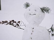 Синоптик предупредил о надвигающемся на Москву сибирском холоде