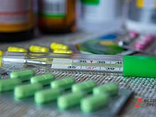 В Челябинской области растет заболеваемость ОРВИ