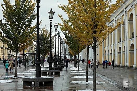 Петербургский синоптик предрёк зиму с аномалией