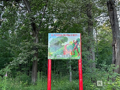 Оперативный штаб по борьбе с лесными пожарами создан в Нижнем Новгороде