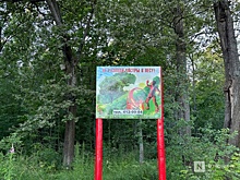 Оперативный штаб по борьбе с лесными пожарами создан в Нижнем Новгороде