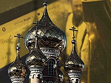 Как создать сайт без программирования: возможности современных конструкторов