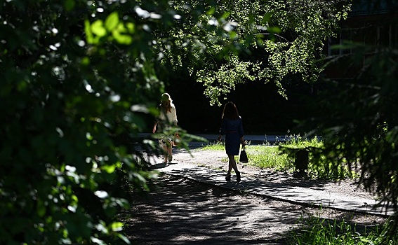 Жертвами клещей стали 4,5 тысячи новосибирцев