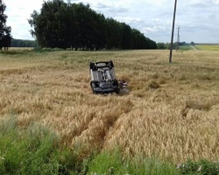 В Башкортостане перевернулся Renault Logan, погиб пассажир