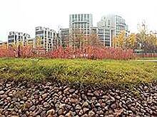 Архитектурные поиски