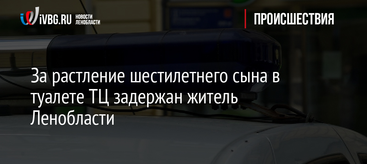 За растление шестилетнего сына в туалете ТЦ задержан житель Ленобласти