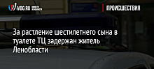 За растление шестилетнего сына в туалете ТЦ задержан житель Ленобласти