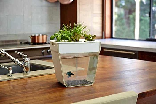 Акваферма: что это такое и для чего она нужна