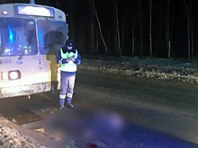 Полиция опубликовала фото с места смертельного ДТП с троллейбусом в рязанском Дягилеве