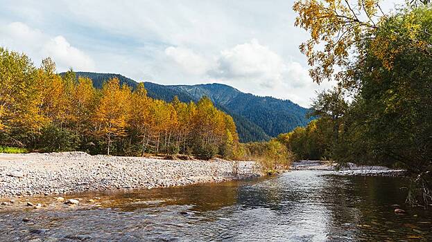 День осеннего одиночества и другие праздники 29 сентября