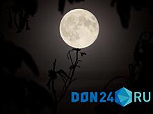 Подбитая техника НАТО и &laquo;лунный одуванчик&raquo;: лучшие фотографии ИА &laquo;ДОН 24&raquo; за прошедшую неделю