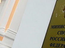 Минспорт опроверг данные о заявке российских спортсменок за Сирию на Панарабских играх