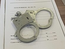 Политолог прокомментировал задержание мэра Дмитровграда