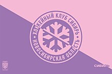 Для хоккейных болельщиц в Новосибирске пройдёт акция по раннему выявлению рака груди