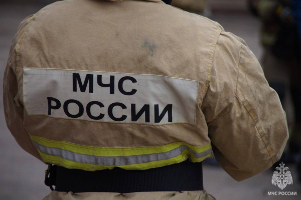 В Самарской области 21 июня потушили 2 пожара