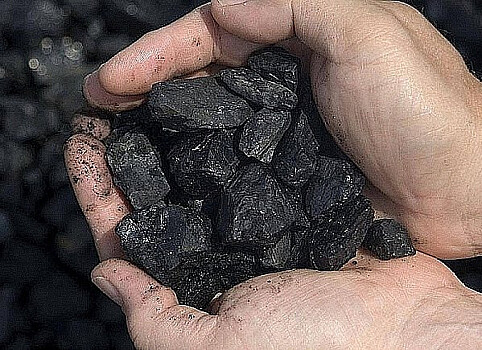 Находкинский экофонд вновь забыл об угольной пыли